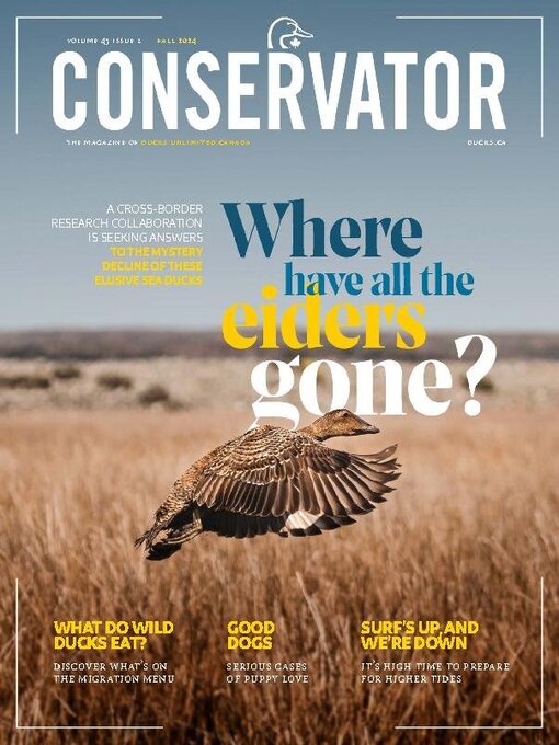 Title details for Conservator by Ducks Unlimited Canada - Available